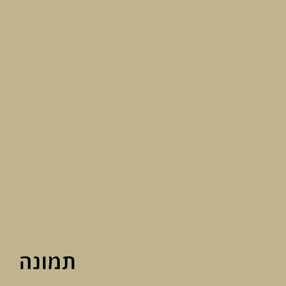 ים
